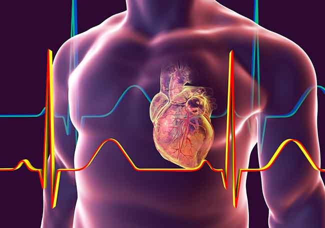 Loló pode provocar parada cardíaca; entenda o que é e quais os efeitos da  droga